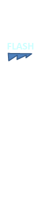 FLASH